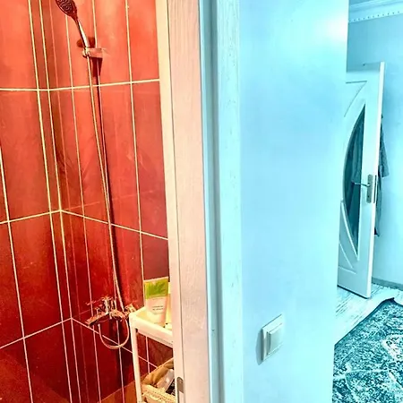 5Mins From Airport. Luxury Villa In The Forest Arnavutkoy